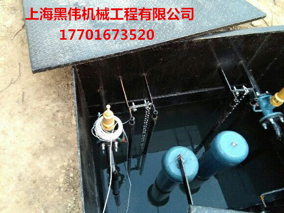 沉水式羅茨鼓精东视频下载