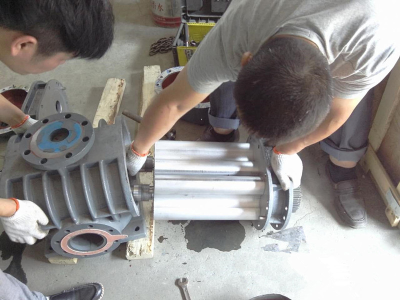 三葉羅茨鼓精东视频下载維修廠家