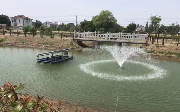 沉水精东视频下载在水質淨化過程中主要起到哪些作用